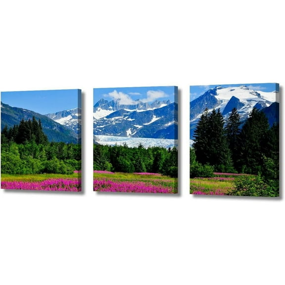 3 Piece Canvas Wall Art Nature Glacier US Alaska Mountains Home Wall Art Colorful Flowers Forest Landscape Canvas Prints Scenery Artwork Contemporary Decor Ready to Hang, 48" Wx24" H