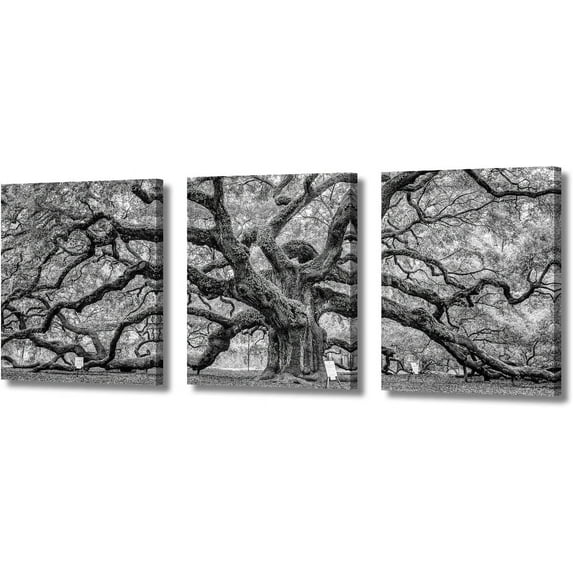 3 Piece Canvas Wall Art Nature Glacier US Alaska Mountains Home Wall Art Colorful Flowers Forest Landscape Canvas Prints Scenery Artwork Contemporary Decor Ready to Hang, 48" Wx24" H