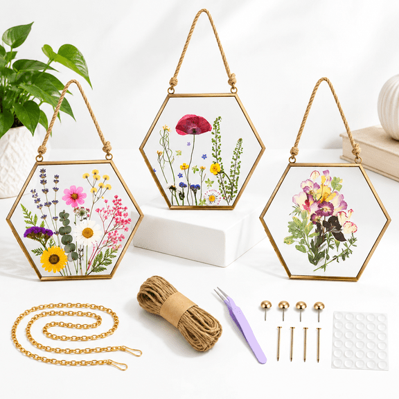3-Piece Hexagon Set Pressed Flower Picture Frames with Hanging Accessories