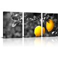 thumbnail image 1 of 3 Piece Kitchen Canvas Wall Art Fresh Lemon Picture Painting Fruit Poster Modern Black and White Yellow Artwork for Dining Room Wall Decor Framed Ready to Hang (Small), 1 of 6