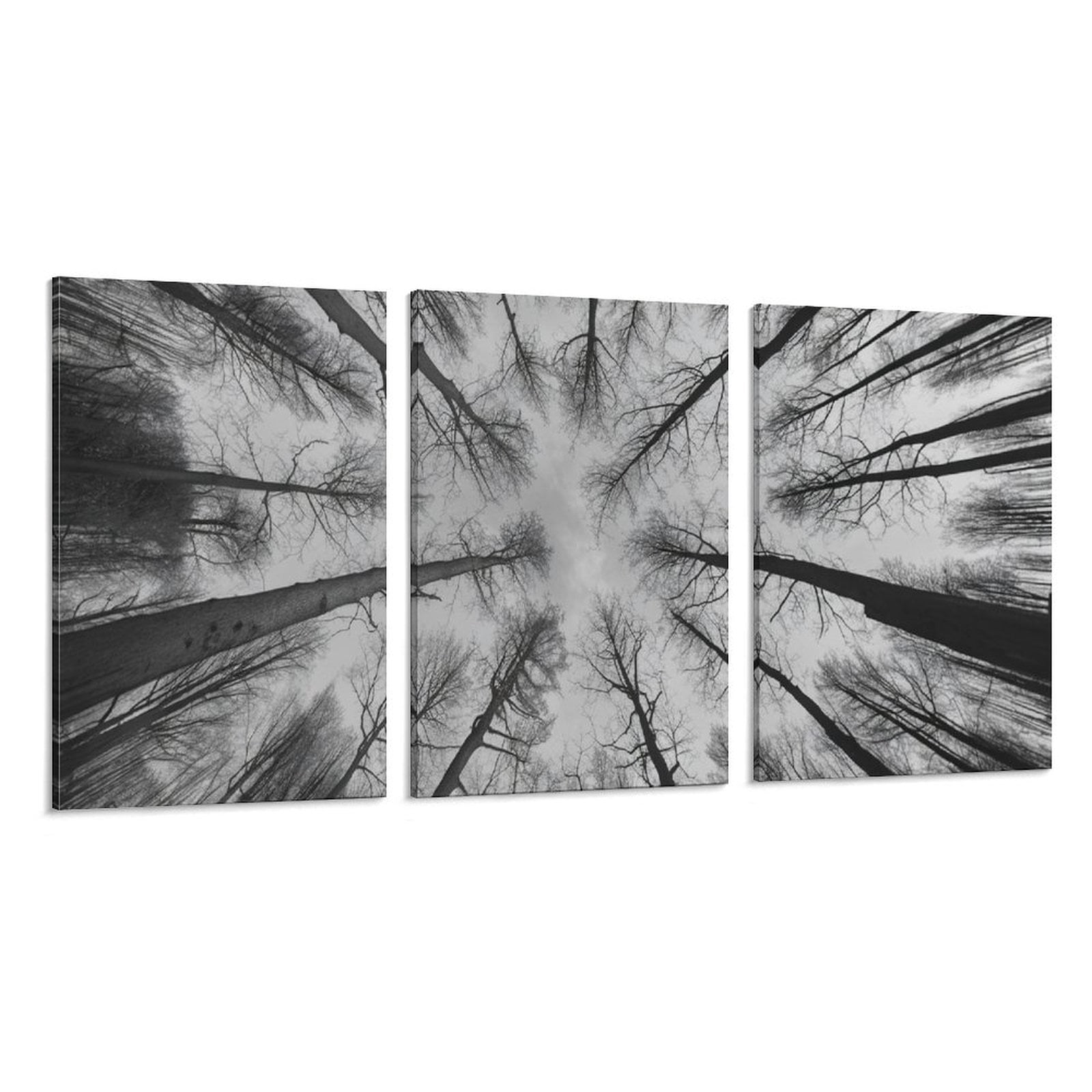 3 Piece Modern Canvas Wall Art Prints -Natural Forest Landscape 4Indoor ...