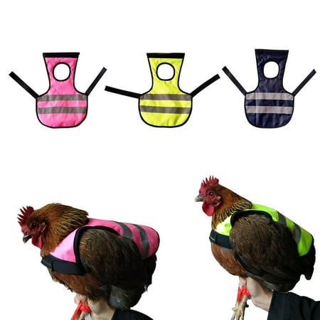 3 Piece Pet Vest Chicken Saddle For Poultry Chicken Goose