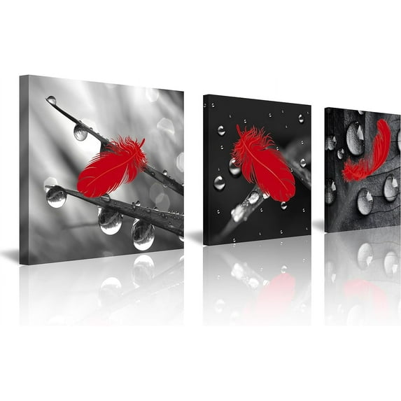 3-Piece Red Feather Canvas Wall Art Set Black and White Abstract Decor Stretched Framed Ready to Hang Modern Home Decoration Paintings for Living Room Bedroom Office