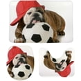 thumbnail image 1 of 3 Piece SKYSONIC Non-Slip Bathroom Rug Set Bulldog Resting On Soccer Ball Soft Contour Rug + Toilet Lid Cover + Bath Mat, 1 of 3