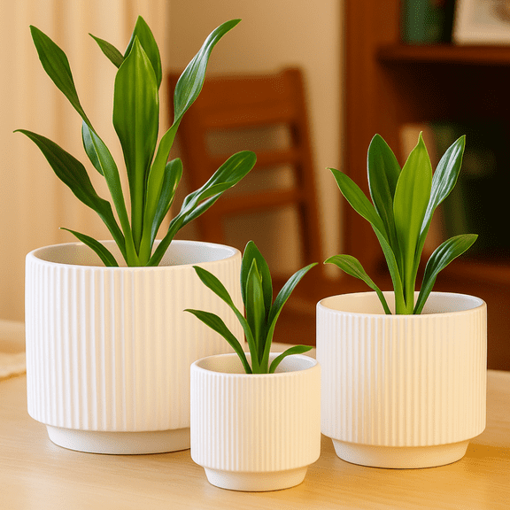 3-Piece White Stoneware Planter Pot Set with Ribbed Texture