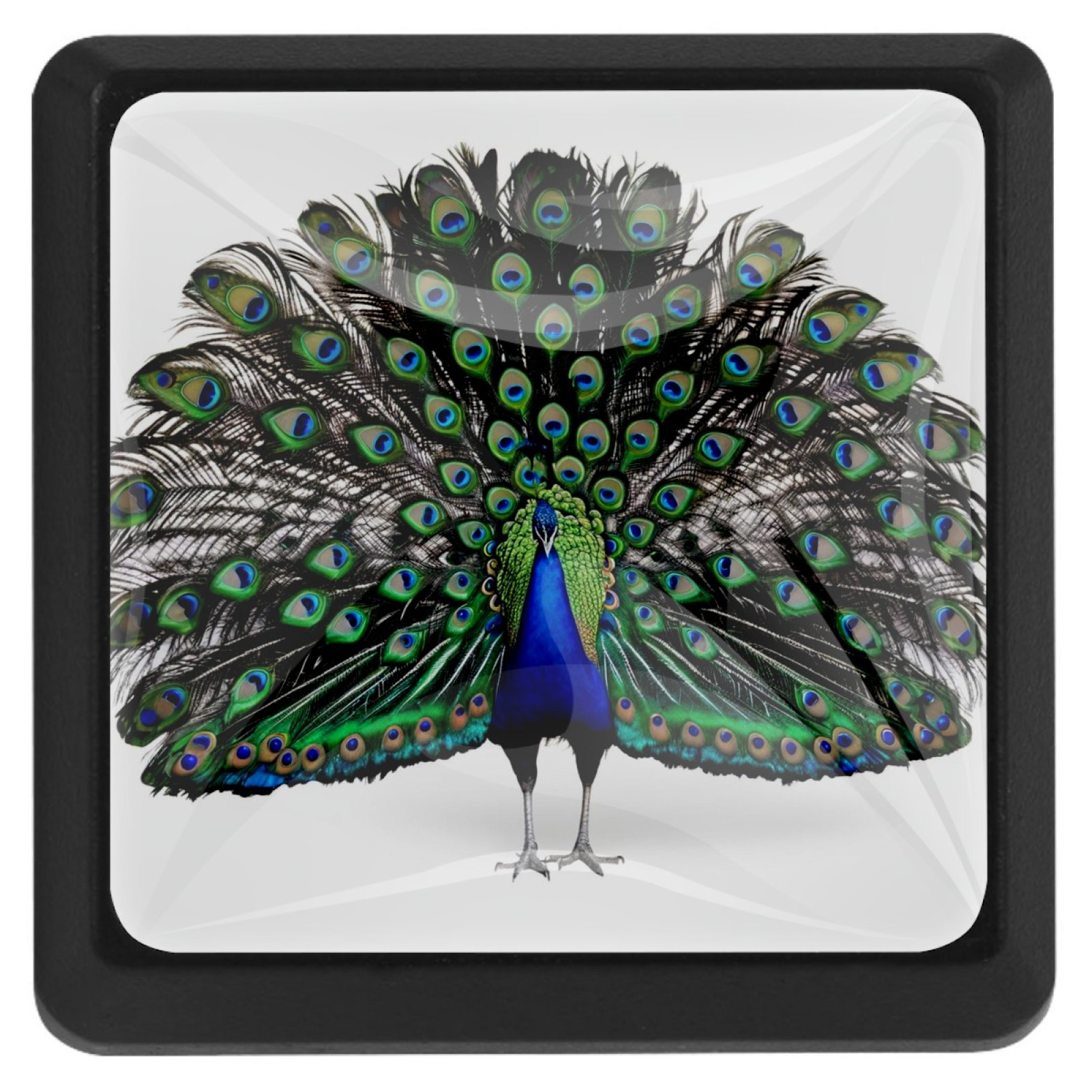 3 Knobs,Interior Door Knobs,Drawer Pulls,Dresser Handles