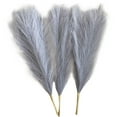 thumbnail image 1 of 3 Pieces Dried Pampas Grass Bunch Flower Arrangement Phragmites Reed Flower for Grey, 1 of 8