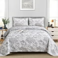thumbnail image 1 of 3 Pieces Grey Botanical Bedspread Full Size Grey Toile Plants Pattern Quilt Set for All Seasons, 1 of 6