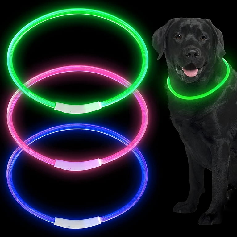 Night time dog collars on sale