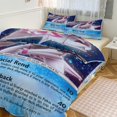 3 Pieces Pokemon Comforter Sets Soft Warm Fluffy Bedding 1 Anime