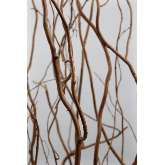 3 Pieces of Natural Curly Willow Branches, 12 Branches, 3-4 Feet
