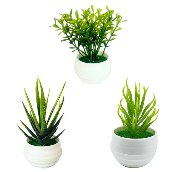 3 Mini Indoor Green Small Bonsai Potted for Home and Restaurant Decoration Beautiful and Exquisite to Break the Dullness of the Room with Vivid Color