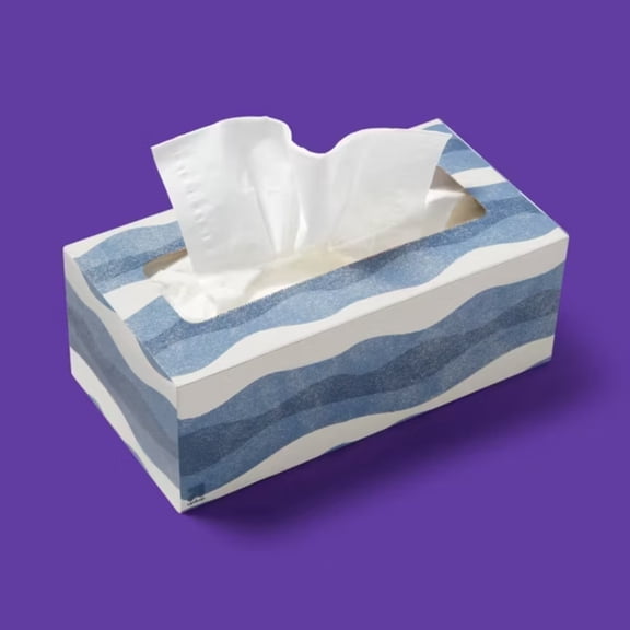 3-Ply Gentle Facial Tissues, 1 Pack 110 Count Soft Disposable Paper Tissues for Home Daily Use