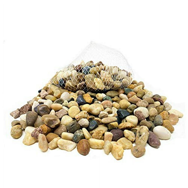 3 Pounds Small Rocks, Pebbles, Outdoor Decorative Stones, Natural Gravel,  For Aquariums, Landscaping, Vase Fillers, Succulent, Tillandsia, Cactus  Pot, Terrarium Plants 