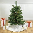 thumbnail image 1 of Northlight 3' Prelit Artificial Christmas Tree Canadian Pine - Clear Lights, 1 of 8