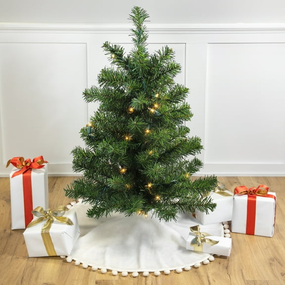 Northlight 3' Prelit Artificial Christmas Tree Canadian Pine - Clear Lights