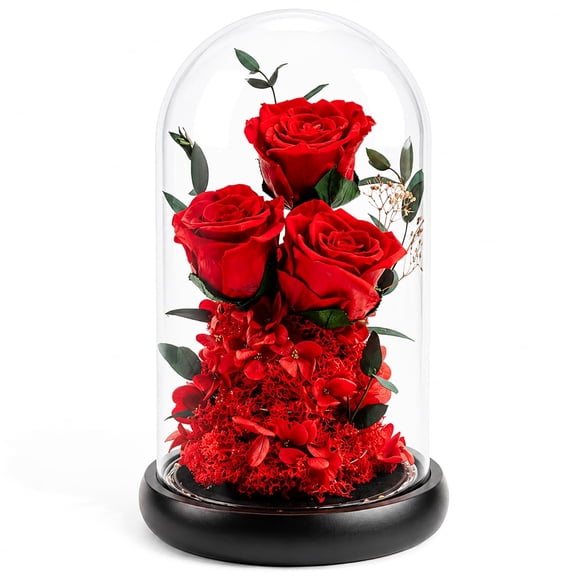 SONNEN Handmade Forever Flowers in Dome, Real Eternal Roses Arrangement, Preserved Flower Decor, Long Lasting 1–3 Years Gift for Women, Valentine’s Day, Birthday-Red
