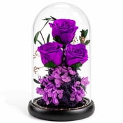 Handmade Forever Flowers in Dome, Real Eternal Roses Arrangement, Preserved Flower Decor, Long Lasting 1 3 Years Gift for Women, Valentine s Day, Birthday-Purple