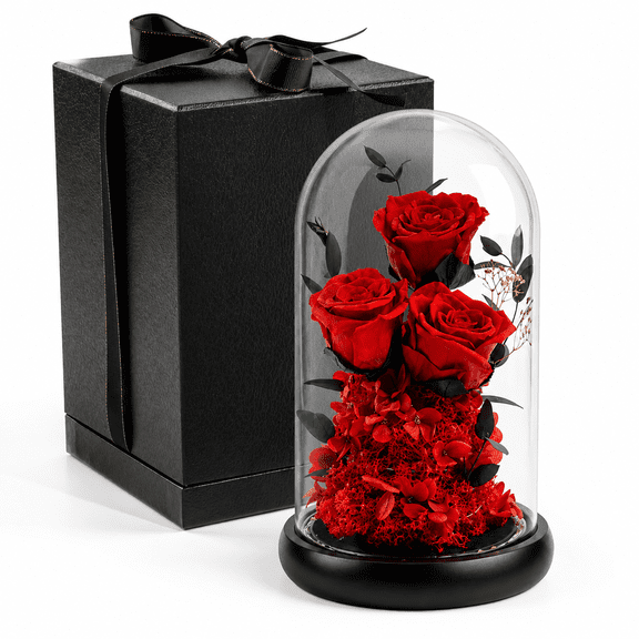 3-Pieces Forever Flowers in Acrylic Dome – Preserved Real Roses Gift for Her, Romantic Rose Flower Gift for Women, Birthday & Anniversary Keepsake-Red