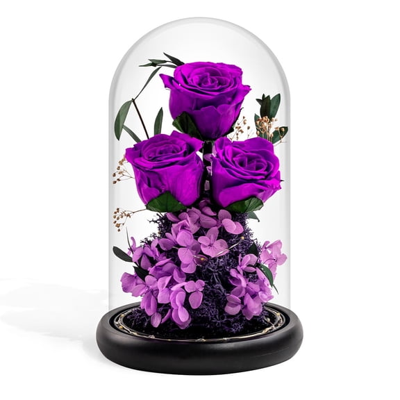 SONNEN Handmade Forever Flowers in Dome, Real Eternal Roses Arrangement, Preserved Flower Decor, Long Lasting 1–3 Years Gift for Women, Valentine’s Day, Birthday-Purple