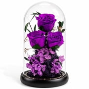Handmade Forever Flowers in Dome, Real Eternal Roses Arrangement, Preserved Flower Decor, Long Lasting 1 3 Years Gift for Women, Valentine s Day, Birthday-Purple