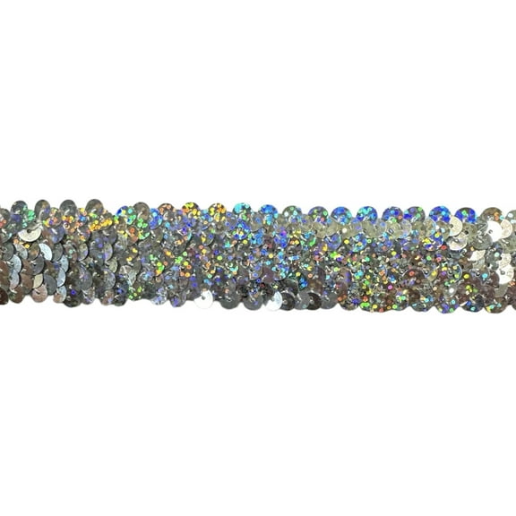 3 ROW (1") STRETCH SEQUIN TRIM - 10 Continuous Yards - Many Colors Available