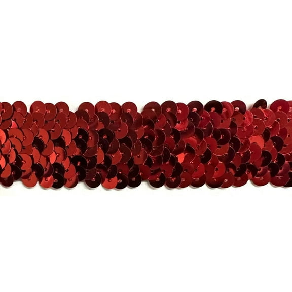 3 ROW (1") STRETCH SEQUIN TRIM - 10 Continuous Yards - Many Colors Available
