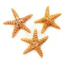 3 Real Dried Small Sugar Starfish (3-4" / 78-102 mm) Beach Arts and Crafts, Coastal Cottage and Nautical Home Decor, Beach Weddings
