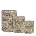 thumbnail image 1 of 3/Set Birch Containers, 1 of 1