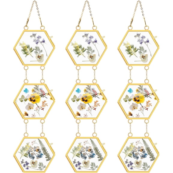 3 Set Double Glass Frame Collage For Pressed Flowers with 9 Pcs 4 x 3 Inch Openings Gold Hanging Glass Floating Photo Frames for Artwork Display Photo Modern Home Wall Decor