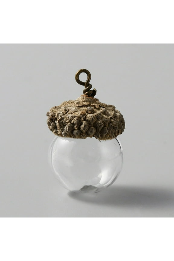 3 Set Glass Ball Pendants with Natural Acorn Shell Cap Autumn Theme Clear 26.5x17mm Hole: 1.8mm
