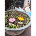 thumbnail image 1 of 3 Set bee Watering Station Insect Drinking Cups for Garden Flower-Shaped Bee Water Station Butterflies bee Waterer (Blue Pink Yellow 3 Set), 1 of 7