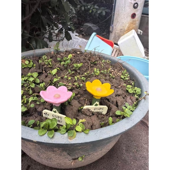 3 Set bee Watering Station Insect Drinking Cups for Garden Flower-Shaped Bee Water Station Butterflies bee Waterer (Blue Pink Yellow 3 Set)