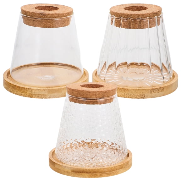 3 Sets Hydroponic Plant Bottle Terrarium Glass Containers Hydroponic Planter Clear Hydroponic Vase Office