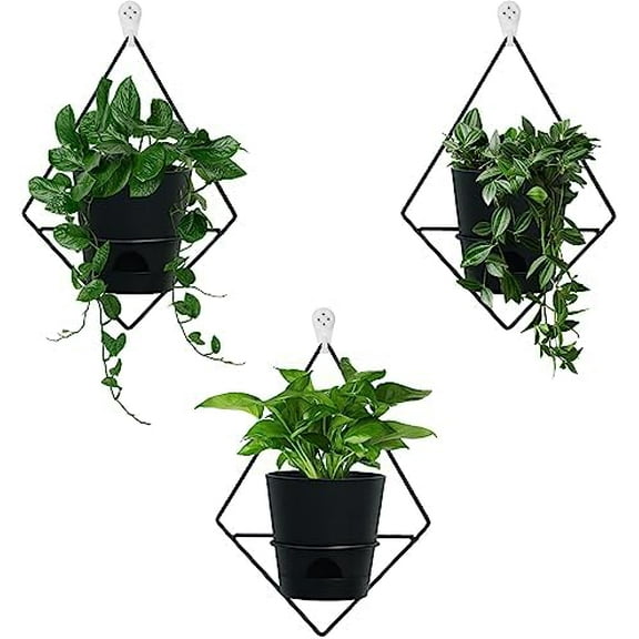 3 Sets Wall Planters for Indoor Plants Geometric Hanging Planters for Indoor Plants - Self-Watering Flower Pots with Black Metal Holder, Mounted Succulent Planter, 5" Black Plant Pot