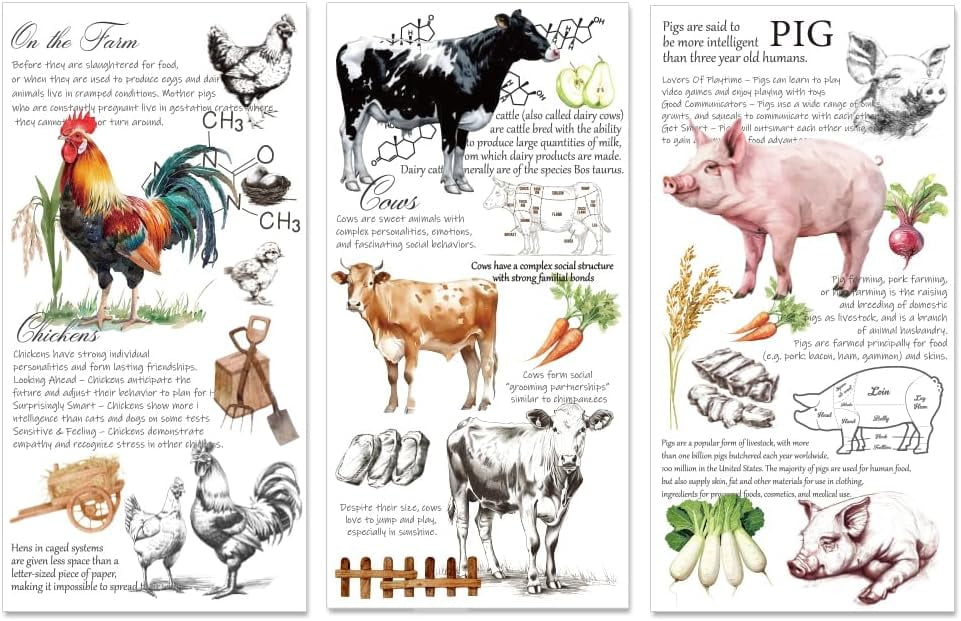 Rub On Transfers For Crafts - 3 Sheets Vintage Flower Designs, For Wood, Glass, Furniture, DIY Home Decor