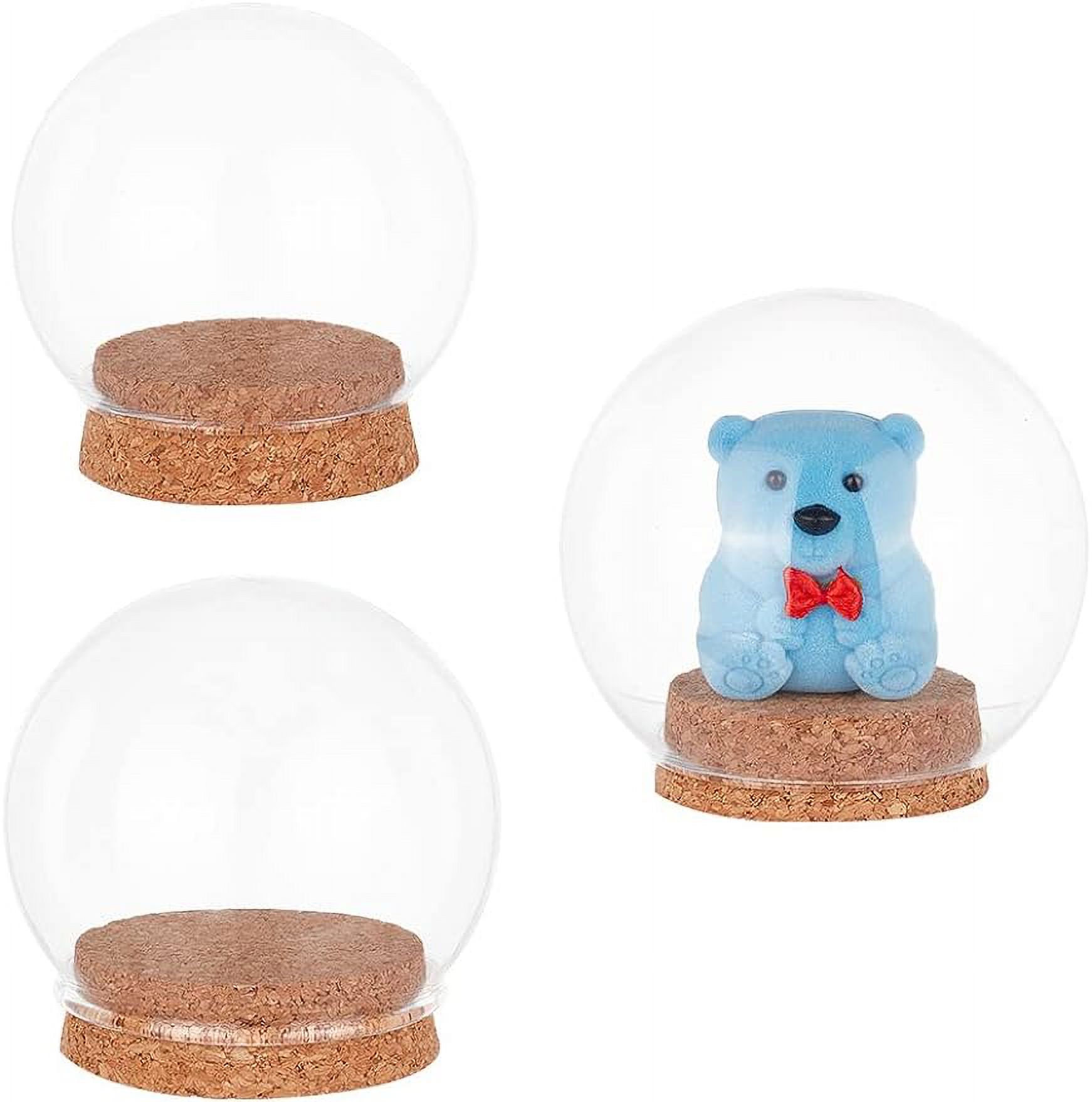 3 Sizes 3 Styles Glass Display Case Glass Dome Cover with Wood Base