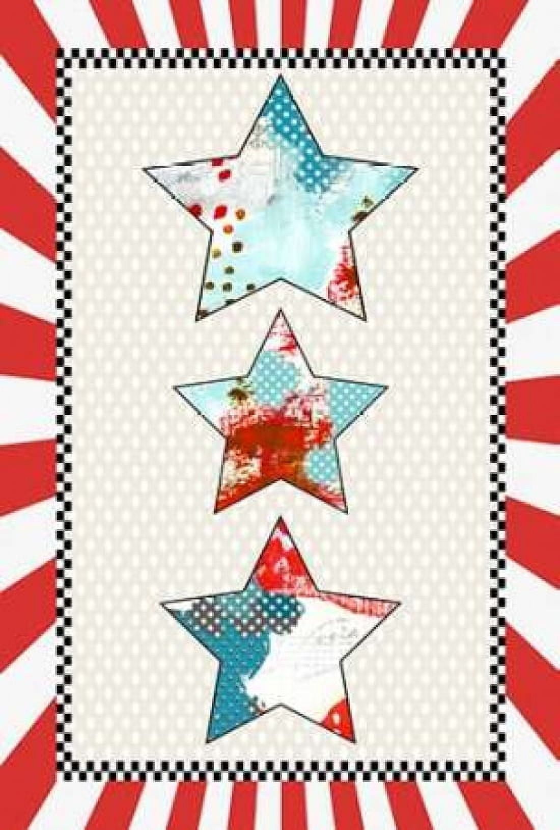3 Stars Canvas Art - Sarah Ogren (20 x 28)