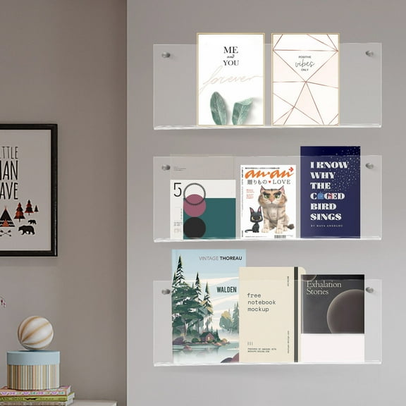 3 Tier Acrylic Brochure Holder Wall Mount Literature Display Rack, Clear