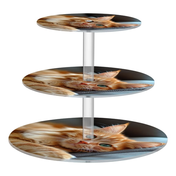 3-Tier Acrylic Cupcake Stand Sturdy Dessert Display Cupcake Tower Cupcake Holder for Party Wedding Outdoor Picnic Orange Cat Lying on Sofa