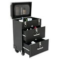 thumbnail image 1 of 3-Tier Nail Polish Storage Box Travel Makeup Luggage Rolling Organizer Cosmetics Train Case Salon Makeup Transport Cart Luggage Trolley Suitcase Salon Trolley Cart with Wheels, 1 of 11