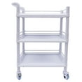 3 Tier Rolling Utility Cart, Trolley Cart with Wheels, Beauty Salon SPA