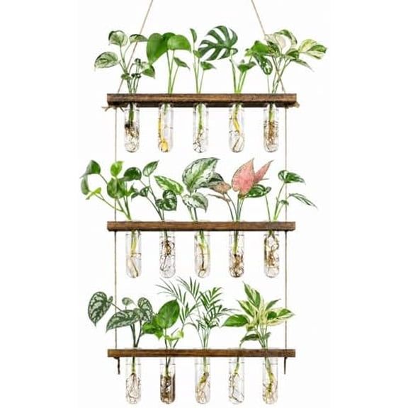 3 Tier Wall Hanging Propagation Stations with 15 Glass Test Tubes, Plant Terrarium Propagation Tubes Planter for Hydroponic Cuttings, Window Decor Gift for Plant Lovers