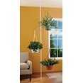 3 Tiered Plant Stand Tension Rod with Adjustable Hanging Hook Design