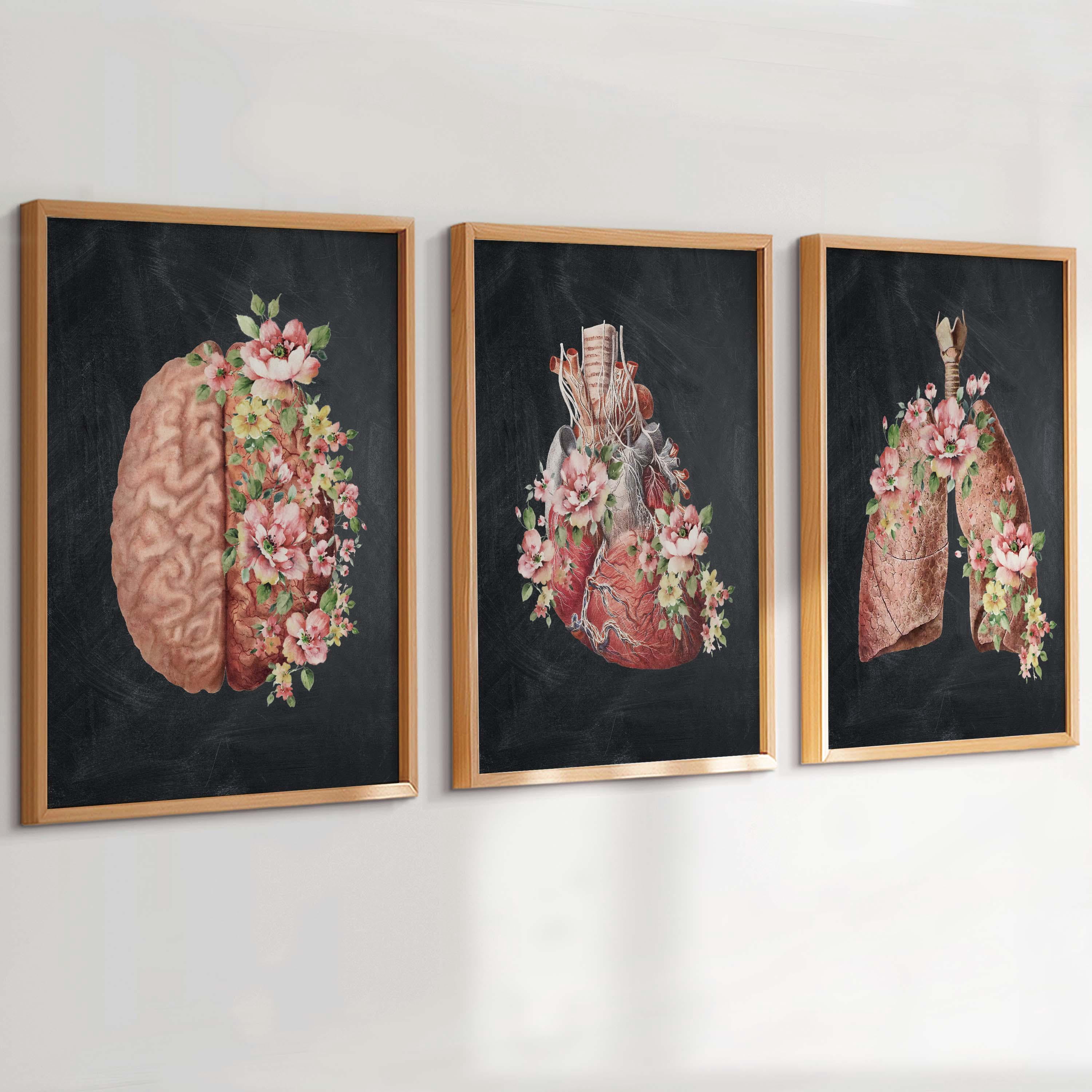 3 Vintage Anatomy Art Brain Art Floral Heart Anatomical Lungs Medical ...