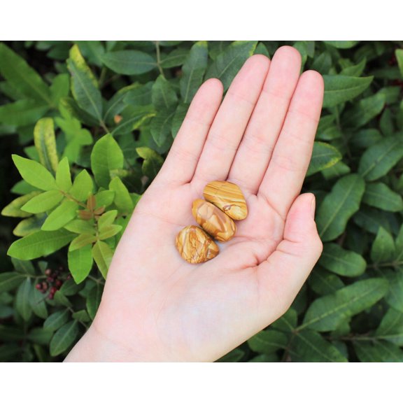3 Walnut Jasper Tumbled Stones 'A' Grade Brown Jasper (Crystal Healing Reiki)