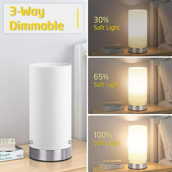 3 Way Dimmable Touch Control Bedside Table Lamp with Glass Shade, 2700K Warm Light for Bedroom