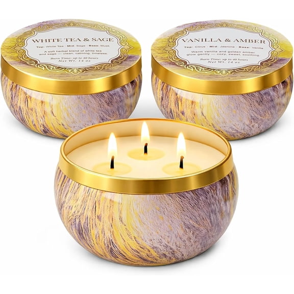 3-Wick Candle Gift Set, 3 Pack, 14 oz Each, Scented Candles for Home, White Tea & Sage, Vanilla & Amber, Cashmere Cedar