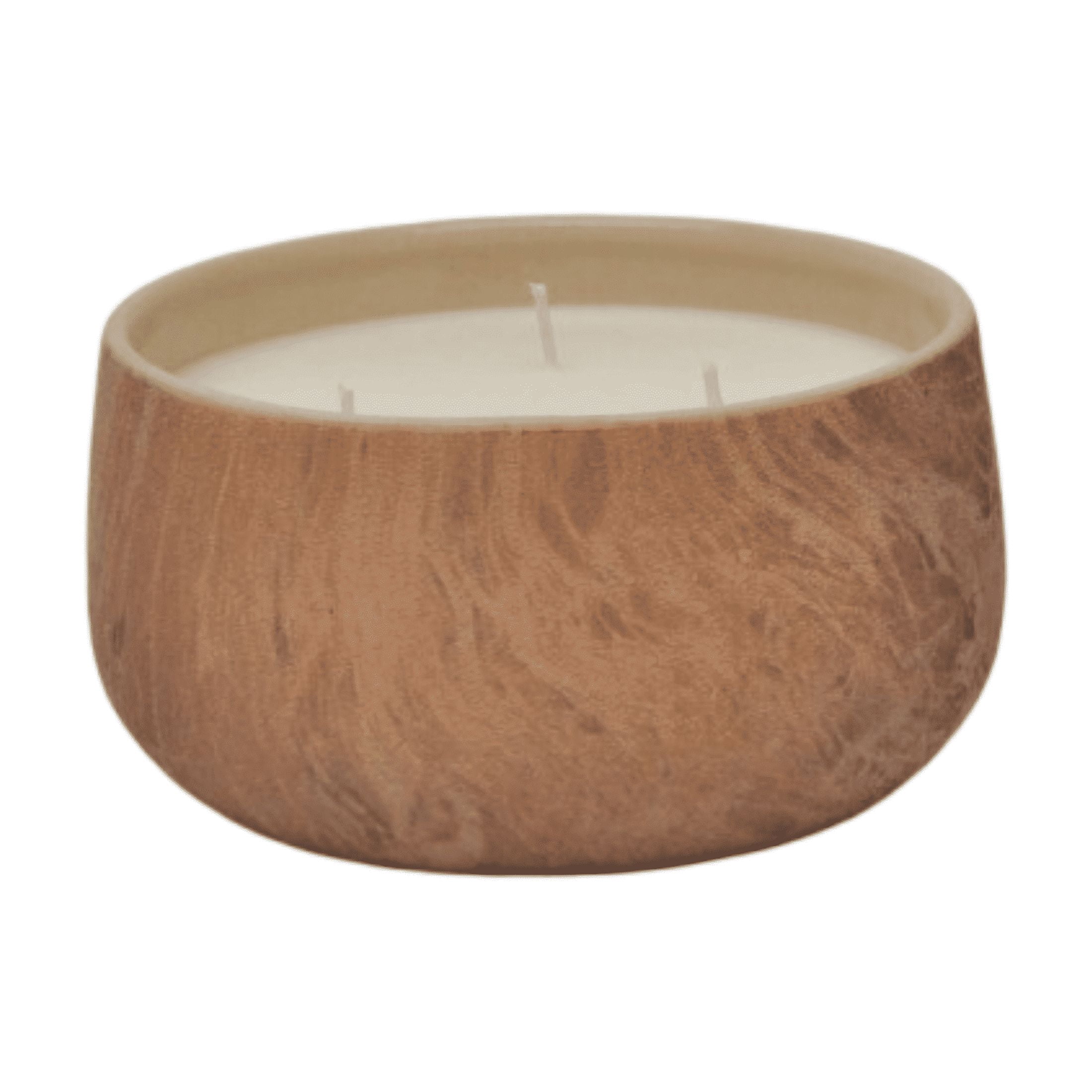 Aria Home 24 oz. Fruity Scented Jar Candle with 4 h Burn Time