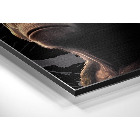 3 Wise Monkeys Brushed Aluminum Dibond Wall Art